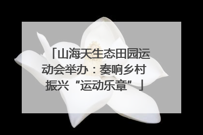 山海天生态田园运动会举办：奏响乡村振兴“运动乐章”