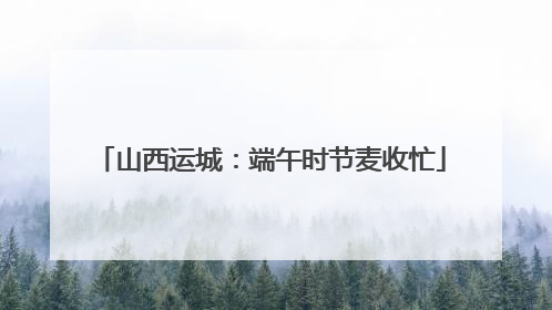 山西运城：端午时节麦收忙