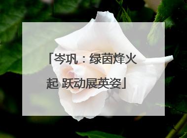 岑巩：绿茵烽火起 跃动展英姿