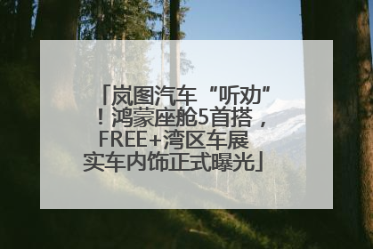 岚图汽车“听劝”！鸿蒙座舱5首搭，FREE+湾区车展实车内饰正式曝光