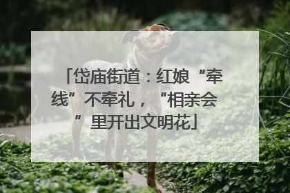 岱庙街道：红娘“牵线”不牵礼，“相亲会”里开出文明花