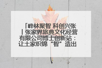 峰林聚智 科创兴张丨张家界旅典文化经营有限公司博士创新站：让土家织锦“智”造出非遗新传奇
