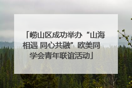 崂山区成功举办“山海相遇 同心共融”欧美同学会青年联谊活动