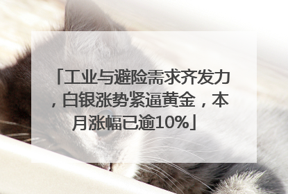 工业与避险需求齐发力，白银涨势紧逼黄金，本月涨幅已逾10%