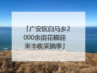 广安区白马乡2000余亩花椒迎来丰收采摘季
