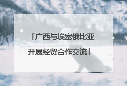 广西与埃塞俄比亚开展经贸合作交流