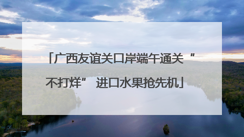 广西友谊关口岸端午通关“不打烊” 进口水果抢先机