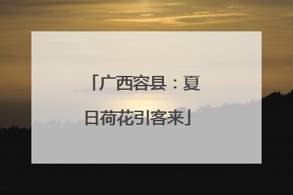 广西容县：夏日荷花引客来