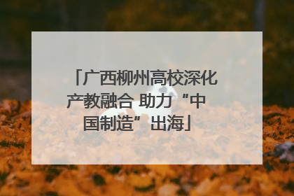 广西柳州高校深化产教融合 助力“中国制造”出海