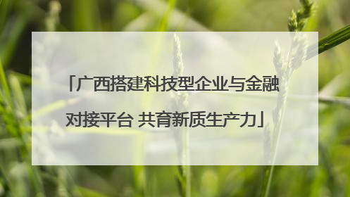 广西搭建科技型企业与金融对接平台 共育新质生产力