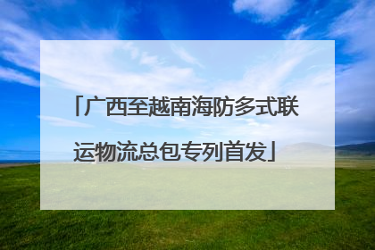 广西至越南海防多式联运物流总包专列首发