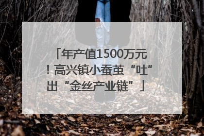 年产值1500万元！高兴镇小蚕茧“吐”出“金丝产业链”