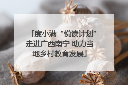 度小满“悦读计划”走进广西南宁 助力当地乡村教育发展