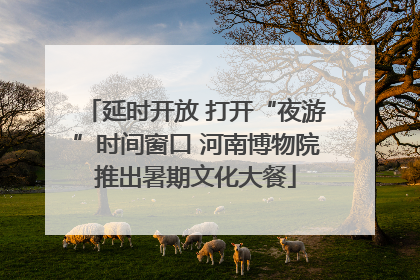 延时开放 打开“夜游”时间窗口 河南博物院推出暑期文化大餐
