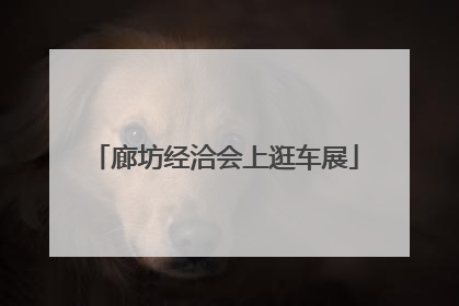 廊坊经洽会上逛车展