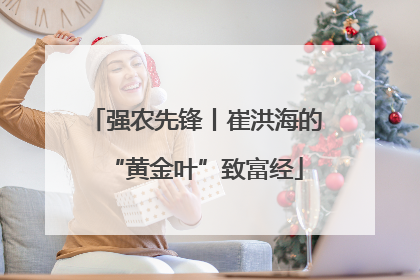 强农先锋丨崔洪海的“黄金叶”致富经