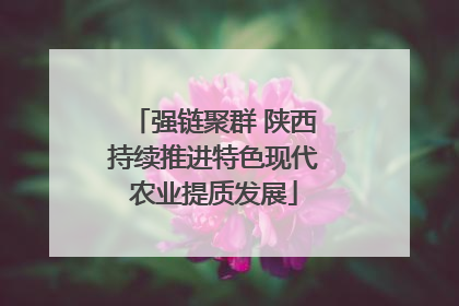 强链聚群 陕西持续推进特色现代农业提质发展