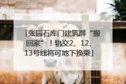张园石库门建筑群“搬回家”！轨交2、12、13号线将可地下换乘
