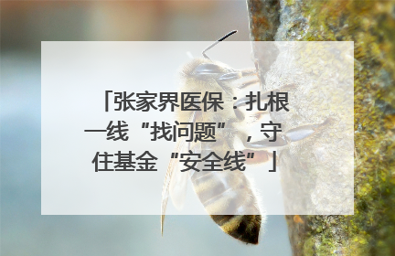 张家界医保：扎根一线“找问题”，守住基金“安全线”