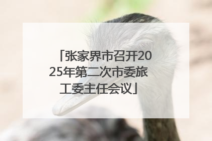 张家界市召开2025年第二次市委旅工委主任会议