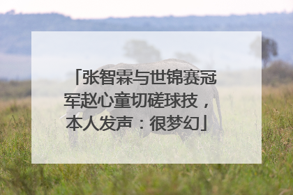 张智霖与世锦赛冠军赵心童切磋球技，本人发声：很梦幻
