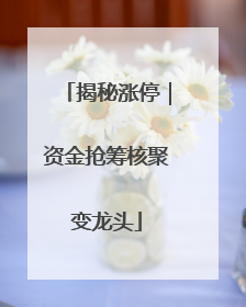 揭秘涨停｜资金抢筹核聚变龙头