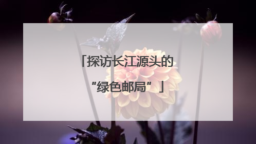 探访长江源头的“绿色邮局”
