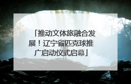 推动文体旅融合发展！辽宁省匹克球推广启动仪式启幕