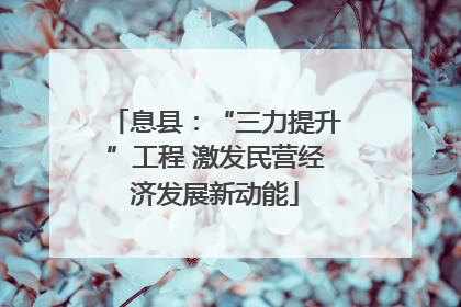 息县：“三力提升”工程 激发民营经济发展新动能