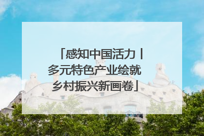 感知中国活力丨多元特色产业绘就乡村振兴新画卷