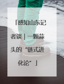 感知山东记者谈｜一颗蒜头的“链式进化论”