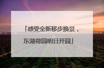 感受全新移步换景，东湖荷园明日开园