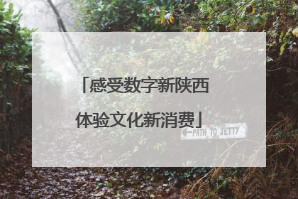 感受数字新陕西 体验文化新消费