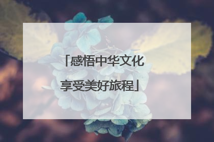 感悟中华文化 享受美好旅程