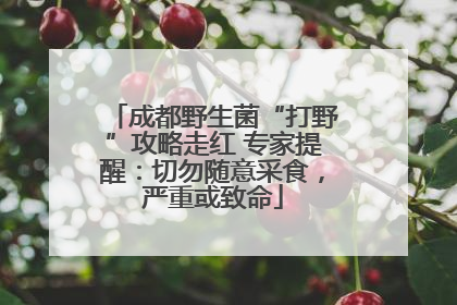 成都野生菌“打野”攻略走红 专家提醒：切勿随意采食，严重或致命