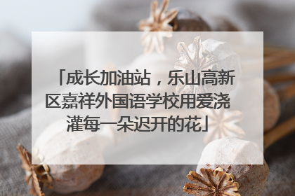 成长加油站，乐山高新区嘉祥外国语学校用爱浇灌每一朵迟开的花