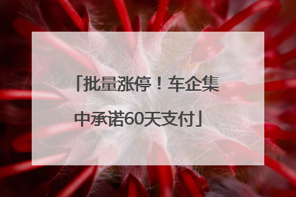 批量涨停！车企集中承诺60天支付