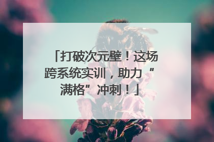 打破次元壁！这场跨系统实训，助力“满格”冲刺！