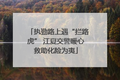 执勤路上遇“拦路虎” 江夏交警暖心救助化险为夷