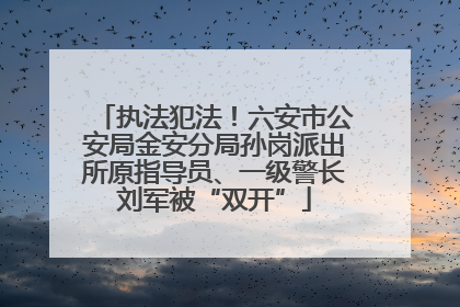 执法犯法！六安市公安局金安分局孙岗派出所原指导员、一级警长刘军被“双开”