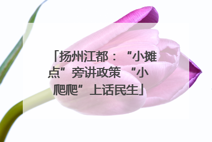 扬州江都：“小摊点”旁讲政策 “小爬爬”上话民生