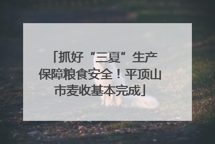 抓好“三夏”生产 保障粮食安全！平顶山市麦收基本完成