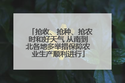抢收、抢种、抢农时和好天气 从南到北各地多举措保障农业生产顺利进行