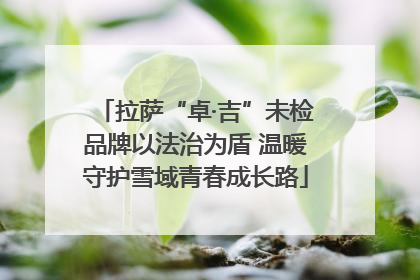 拉萨“卓·吉”未检品牌以法治为盾 温暖守护雪域青春成长路