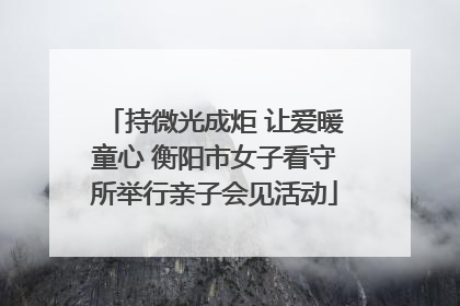 持微光成炬 让爱暖童心 衡阳市女子看守所举行亲子会见活动