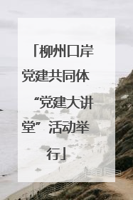 柳州口岸党建共同体“党建大讲堂”活动举行