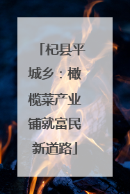 杞县平城乡：橄榄菜产业铺就富民新道路