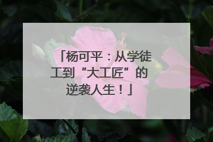 杨可平：从学徒工到“大工匠”的逆袭人生！