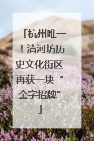 杭州唯一！清河坊历史文化街区再获一块“金字招牌”