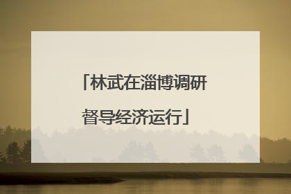 林武在淄博调研督导经济运行